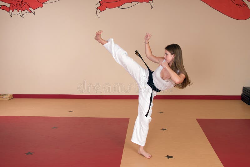 Martial Arts Woman stock image. Image of martial, health 4634533