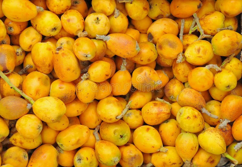 Marula fruit stock photo. Image of juicy, cuisine, close 24903316