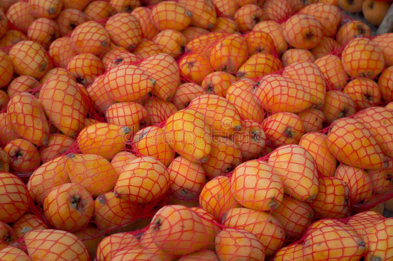 Marula fruit stock photo. Image of juicy, cuisine, close 24903316