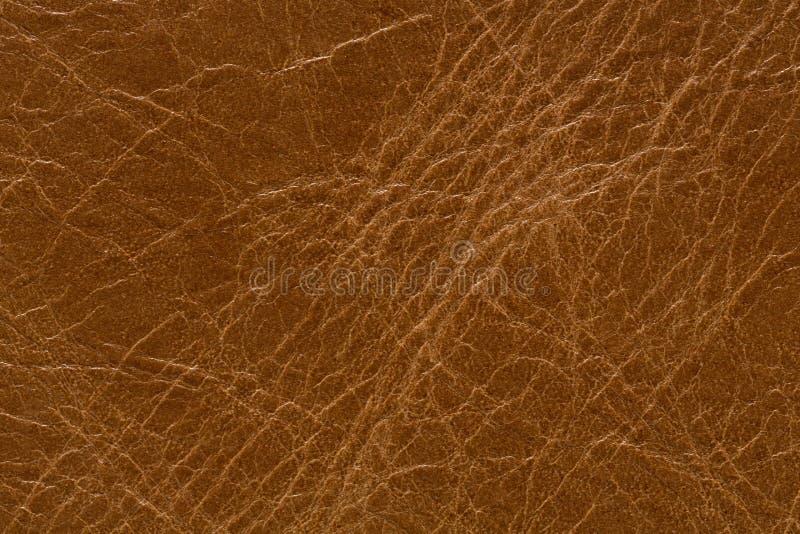 Leather Sheet Images – Browse 24,788 Stock Photos, Vectors, and Video