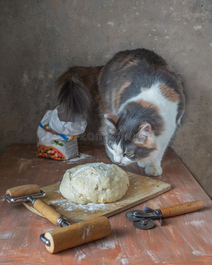 Masa de levadura de pizza en una tabla de picar fotografía de archivo libre de regalías