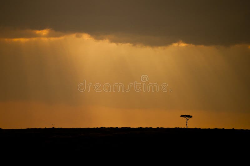 Masai Mara Kenya Sunset