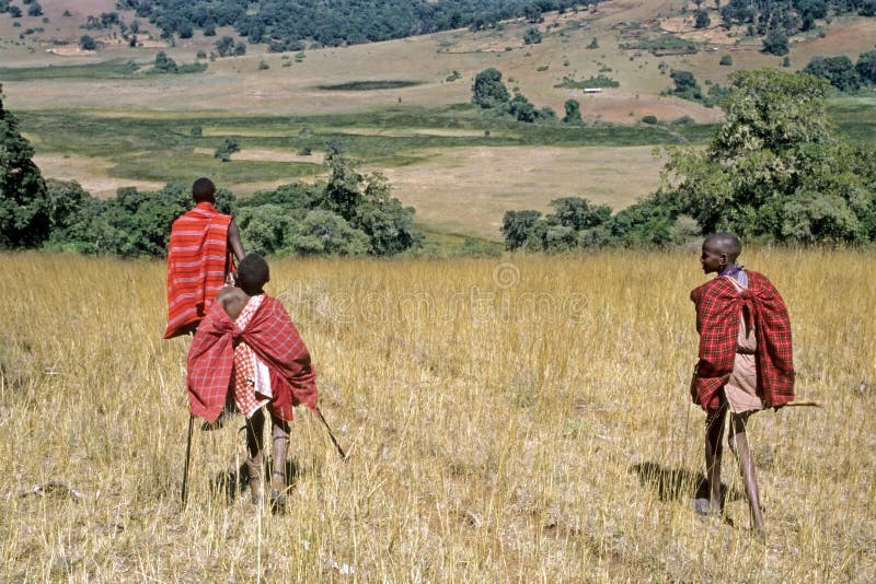 Masaiungdomar går sluttande i Rift Valley arkivbilder Masaiungdomar går sluttande i Rift Valley arkivbilder