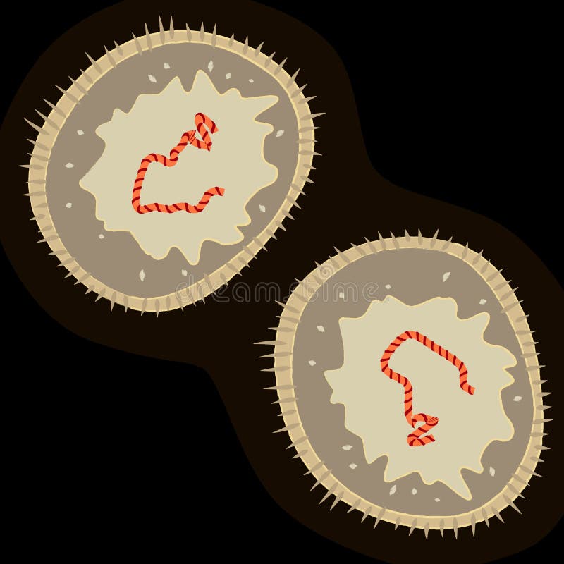 Masernvirus auf dunklem Hintergrund, Vektorillustration lizenzfreie abbildung Masernvirus auf dunklem Hintergrund, Vektorillustration lizenzfreie abbildung