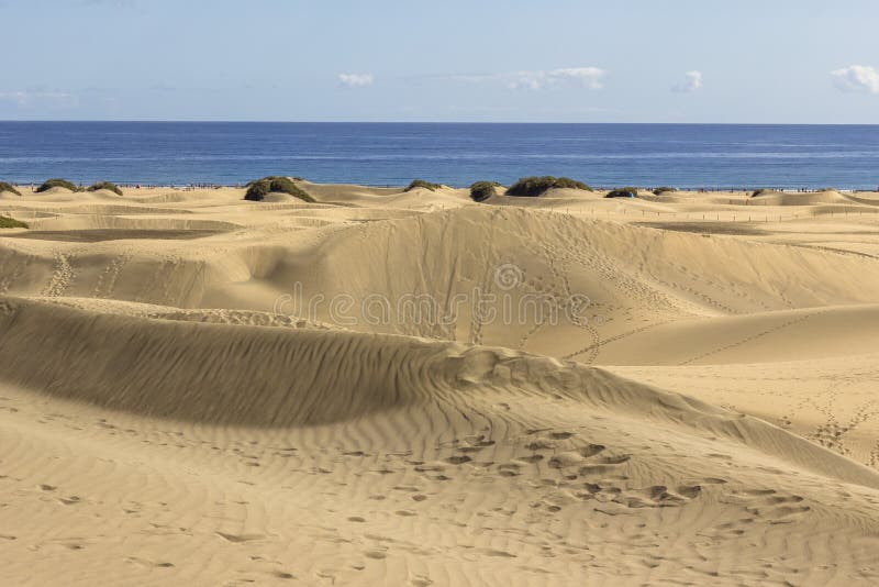 Duna Beach Maspalomas Gran Canaria