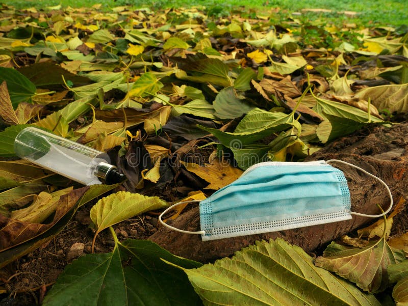 Masque et gel hydroalcoolique jetés en nature au milieu des feuilles d'automne image libre de droits