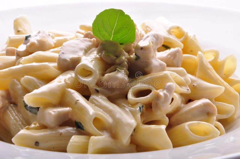 Italian Penne pasta with white sauce. Italian Penne pasta with white sauce