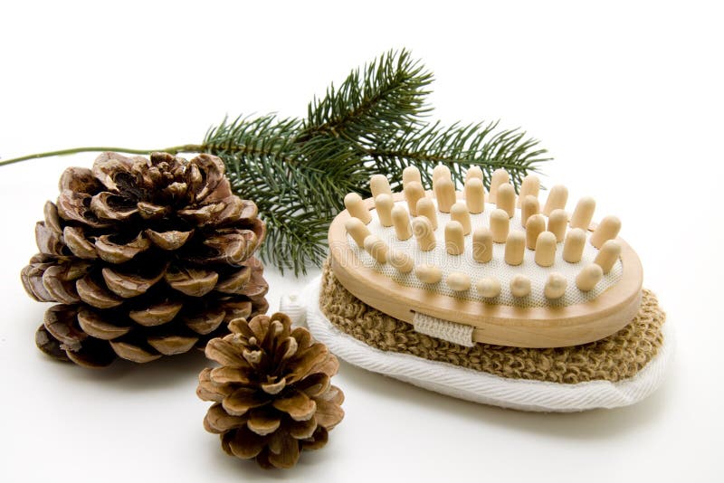 Massage brush with fir cones