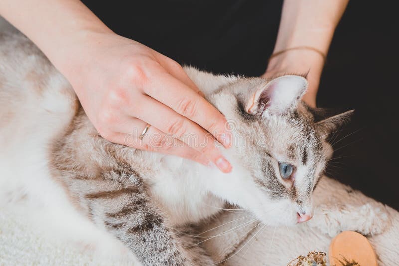 Massage with Your Fingertips in a Circular Motion Around the Cheeks