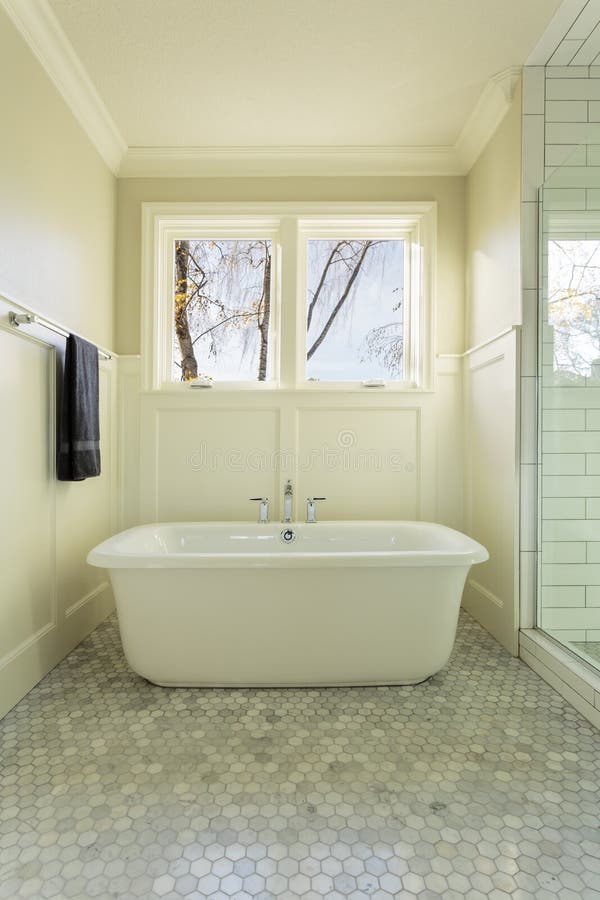 Luxury Master Bathroom with Enclosed Glass Shower Stock Photo Image