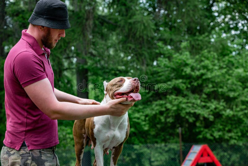 Master and His Obedient Dog at a Dog Training Center Stock Photo