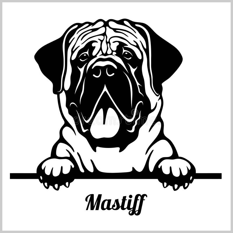 Download Mastiff Stock Illustrations - 1,990 Mastiff Stock ...