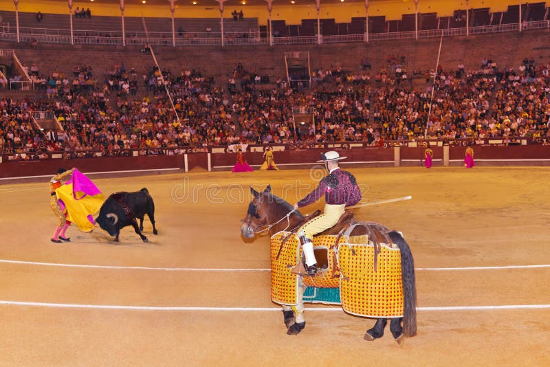 Matador y toro en tauromaquia en Madrid