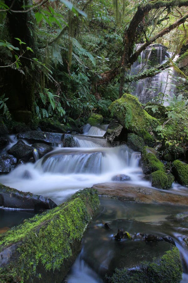 Matai falls 1 royalty free stock photos