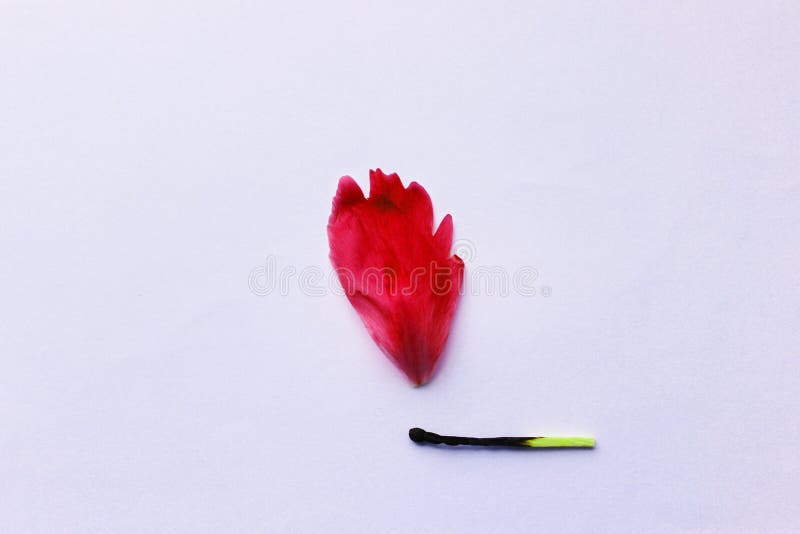 A Match that Sets Fire To a Forest, a Match and an Autumn Leaf. a