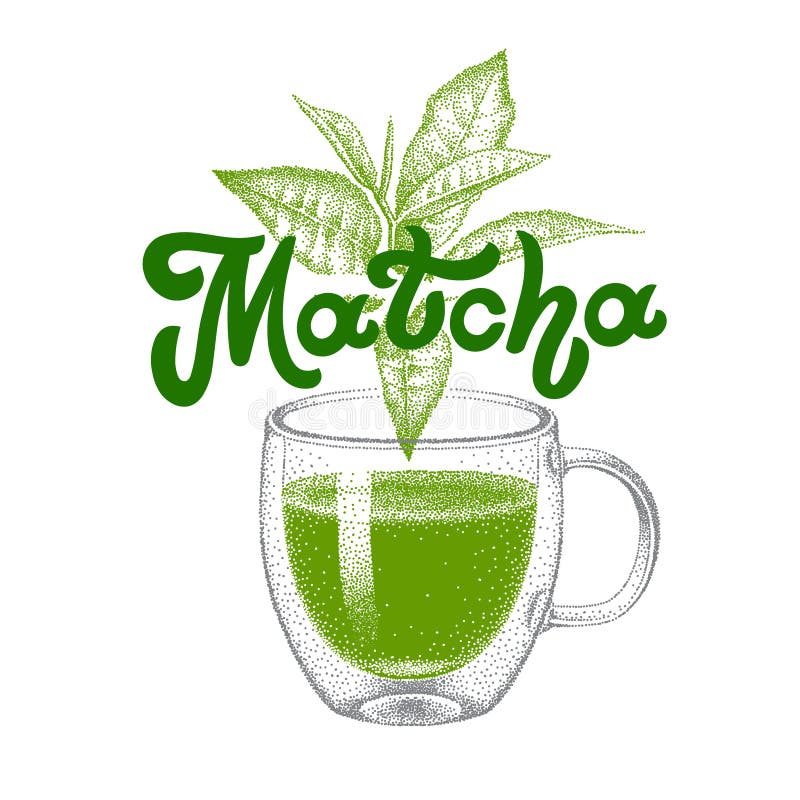 Matcha Green Tea Cocktail Drink Smoothie In Transparent Glass Cup With Straw  Handdrawn Vector Decoration With Leaves Asian Japanese Beverage Stock  Illustration - Download Image Now - iStock