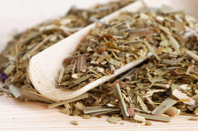 Mate leaves stock image. Image of leaves, leaf, dieting 17521643