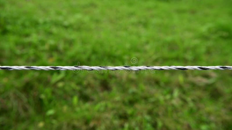 Material de cierre de una cuerda frente a un campo verde en un bosque suizo durante el día almacen de metraje de vídeo