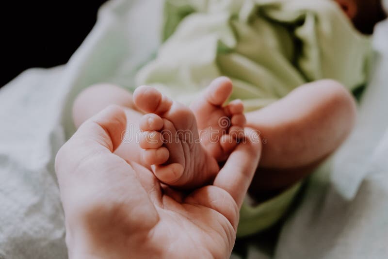 Mother hand touching newborn baby foots. Maternity concept. stock photos