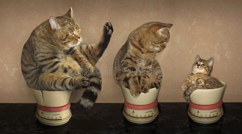 Mather faderson arkivfoto Mather faderson arkivfoto