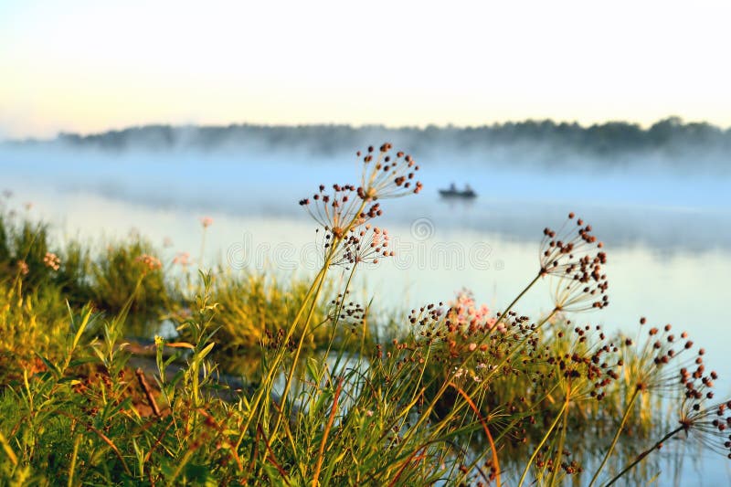 Matin ensoleillé sur la rivière, usines, brouillard, bateau, réflexions en Th photographie stock libre de droits Matin ensoleillé sur la rivière, usines, brouillard, bateau, réflexions en Th photographie stock libre de droits