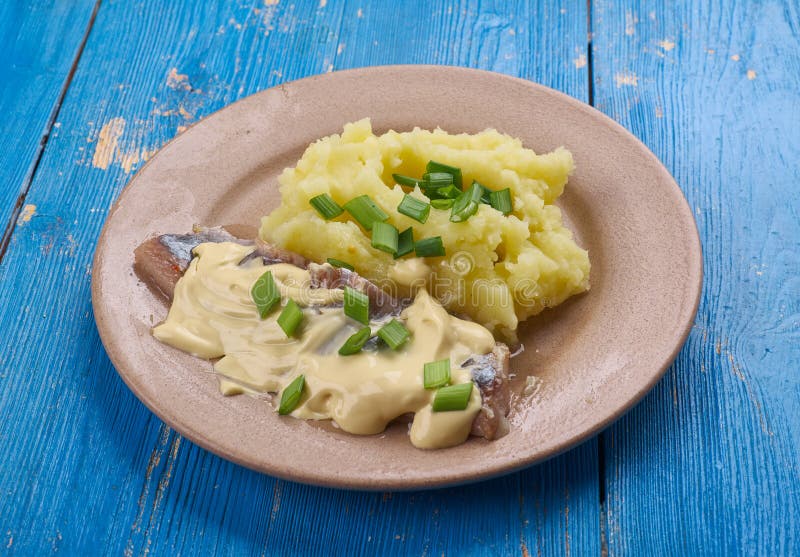 Matjes Hering fotografering för bildbyråer. Bild av sill 112757647