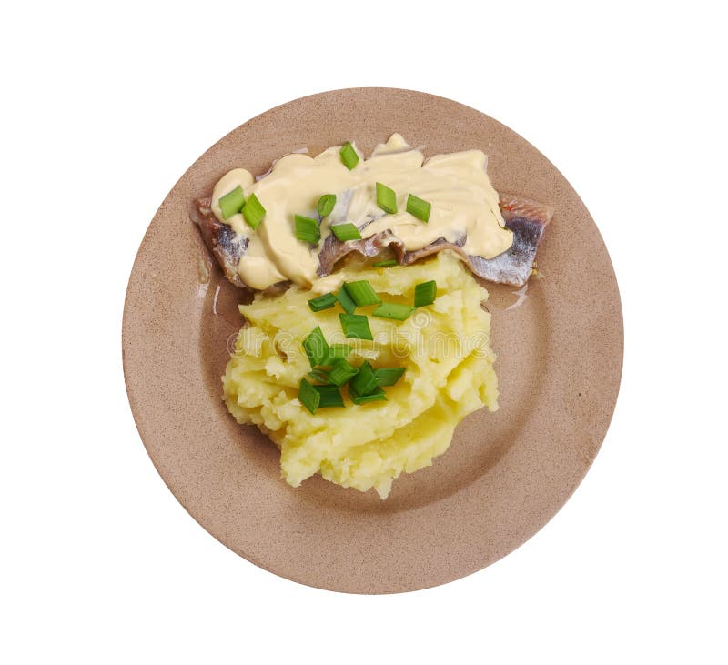 Matjes Hering foto de archivo. Imagen de pepinillo, resaca 112965222