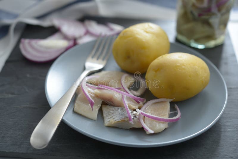 Marinated herring stock photo. Image of macro, onion 13268024