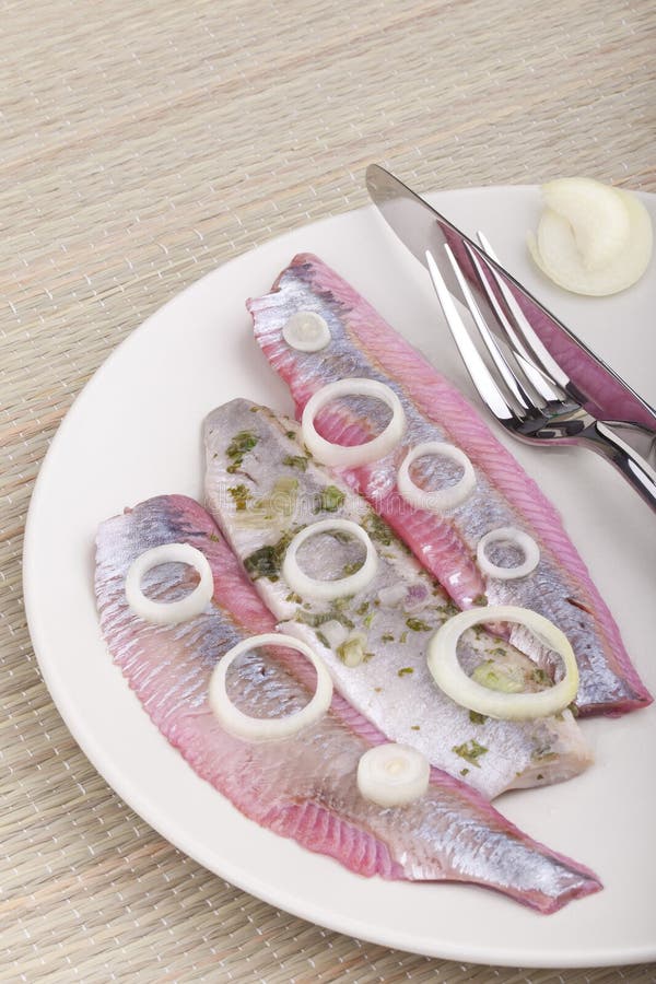 Matjes herring fillets stock image. Image of refreshment 20342255