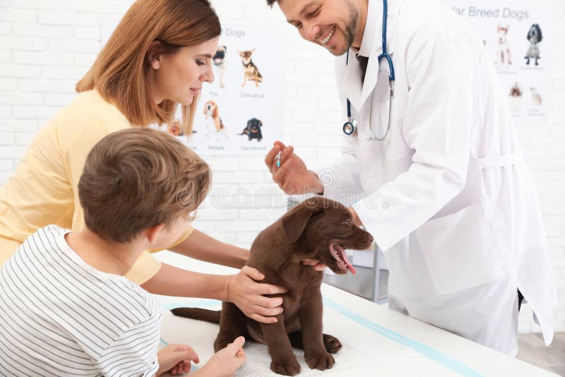 Matka i syn z ich zwierzęciem domowym odwiedza weterynarza Doc zaszczepia labradora szczeniaka zdjęcia stock Matka i syn z ich zwierzęciem domowym odwiedza weterynarza Doc zaszczepia labradora szczeniaka zdjęcia stock