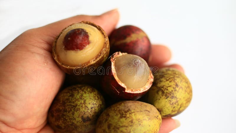 Nam nam fruits stock image. Image of puki, fruit, nature - 130674339