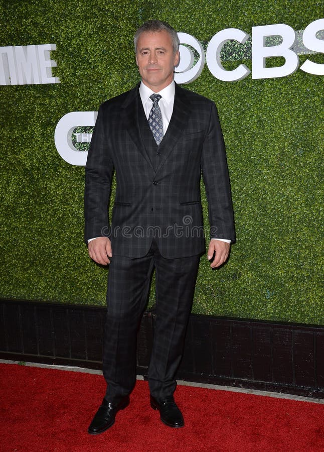 LOS ANGELES, CA. August 10, 2016: Actor Matt LeBlanc at the CBS & Showtime Annual Summer TCA Party with the Stars at the Pacific Design Centre, West Hollywood