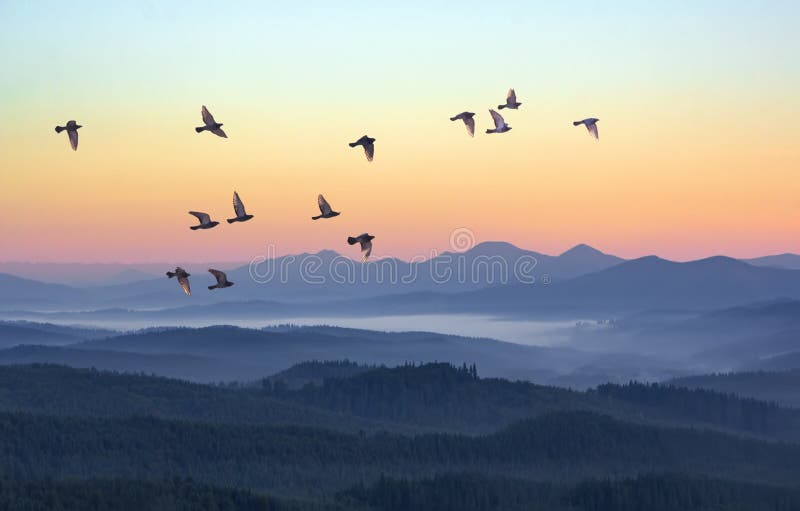 Mattina nebbiosa nelle montagne con gli uccelli di volo sopra le siluette delle colline Alba di serenità con luce solare e gli st