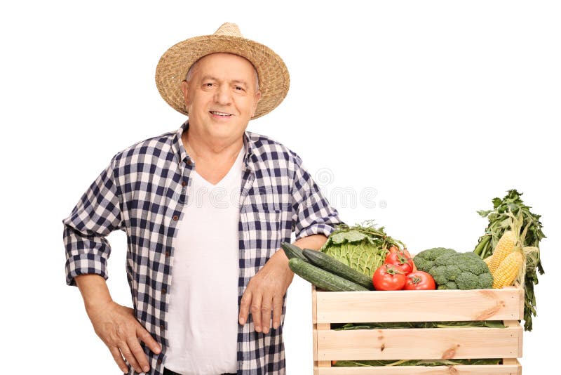 Mature Farmer Holding A Single Tomato Stock Image