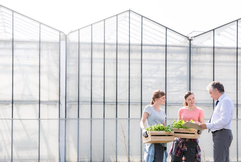 Mature male biochemist discussing with female coworkers against greenhouse stock photos Mature male biochemist discussing with female coworkers against greenhouse stock photos