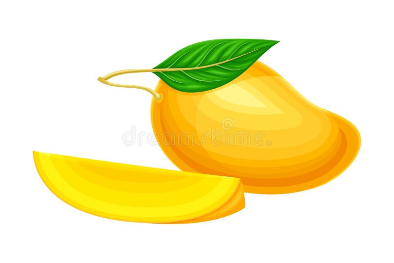 Mango with section stock vector. Illustration of leaf - 16785773