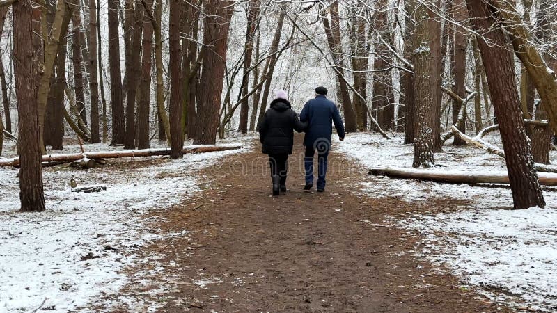 Mature-par som går på snöbana vid vintertallskog. Högre make och maka som går genom spåret på barrträd royaltyfria bilder