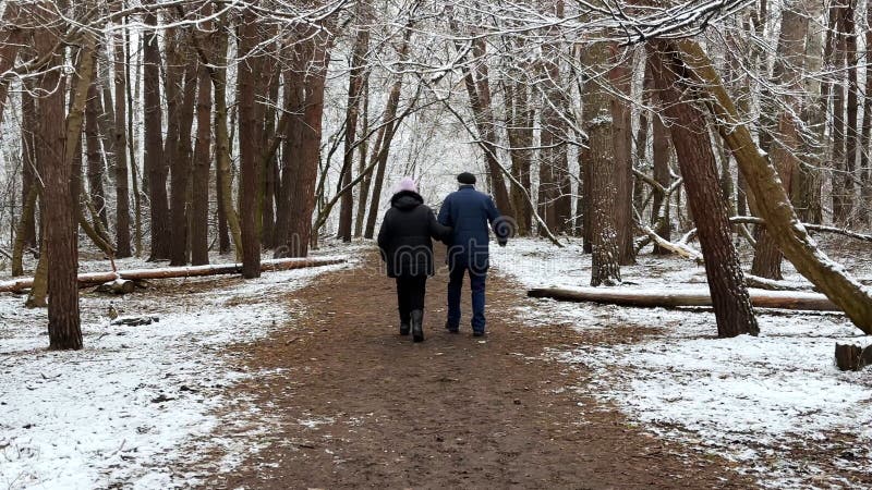 Mature-par som går på snöstig vid vintertallskog. Högre make och maka som går genom spåret på barrträd royaltyfri foto