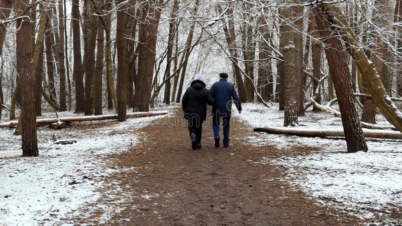 Mature-par som går på snöstig vid vintertallskog. Högre make och maka som går genom spåret på barrträd arkivfoto