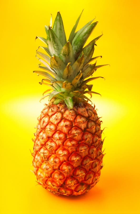 Mature pineapple