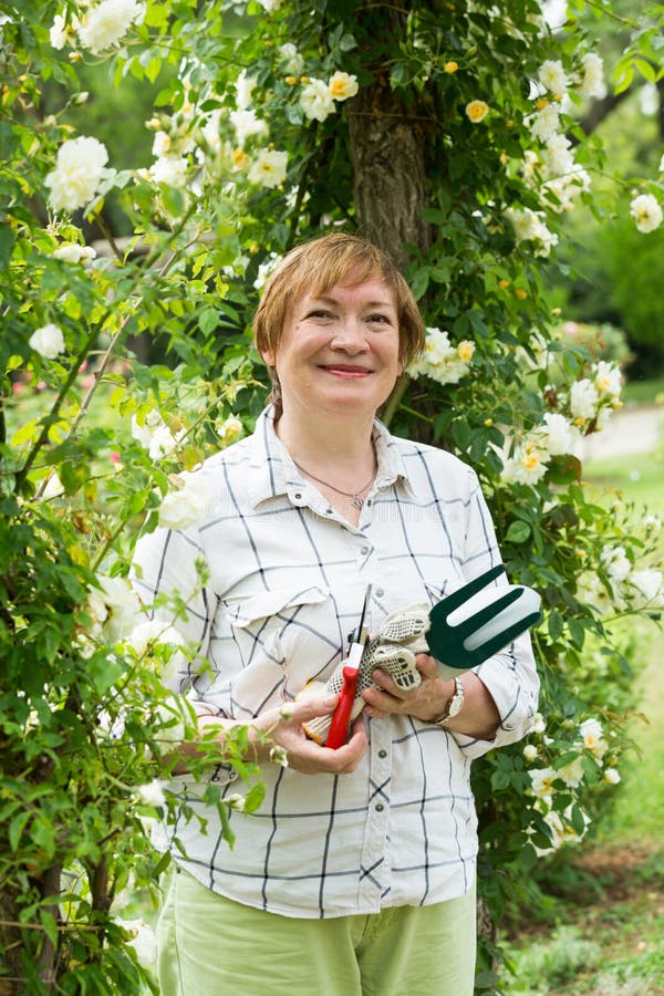 Gardener Taking Care of Her Plants in a Garden Stock Photo - Image of ...