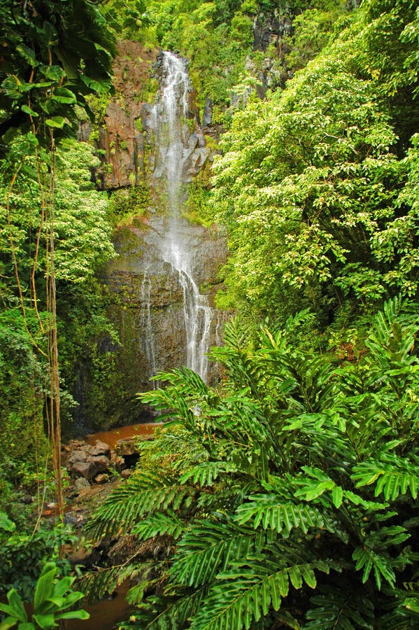 Maui, Hawaii Waterfall royalty free stock photos Maui, Hawaii Waterfall royalty free stock photos