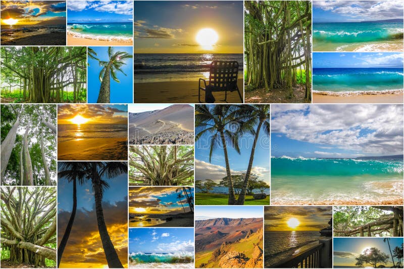 Maui kształtuje teren kolaż zdjęcia royalty free Maui kształtuje teren kolaż zdjęcia royalty free