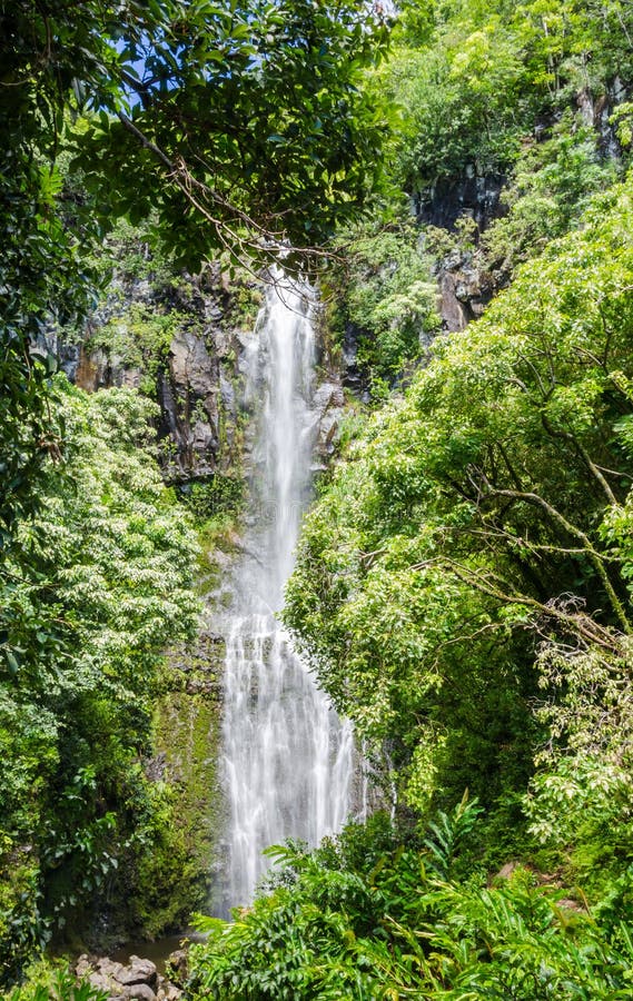 Maui waterfall royalty free stock image Maui waterfall royalty free stock image