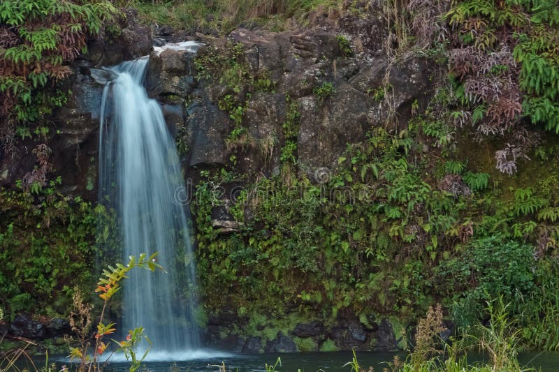 Maui waterfall off the road to Hana stock images Maui waterfall off the road to Hana stock images