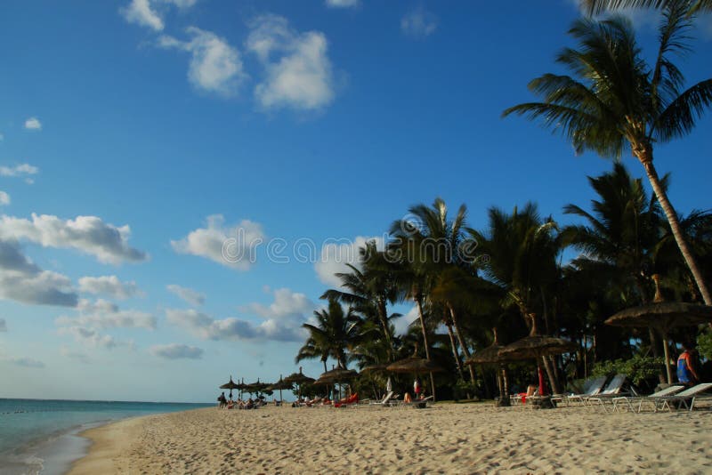 Mauritius seashore royalty free stock photo