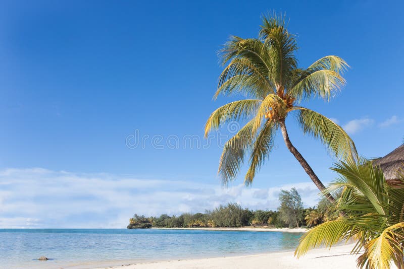 Maurícia foto de stock royalty free Maurícia foto de stock royalty free