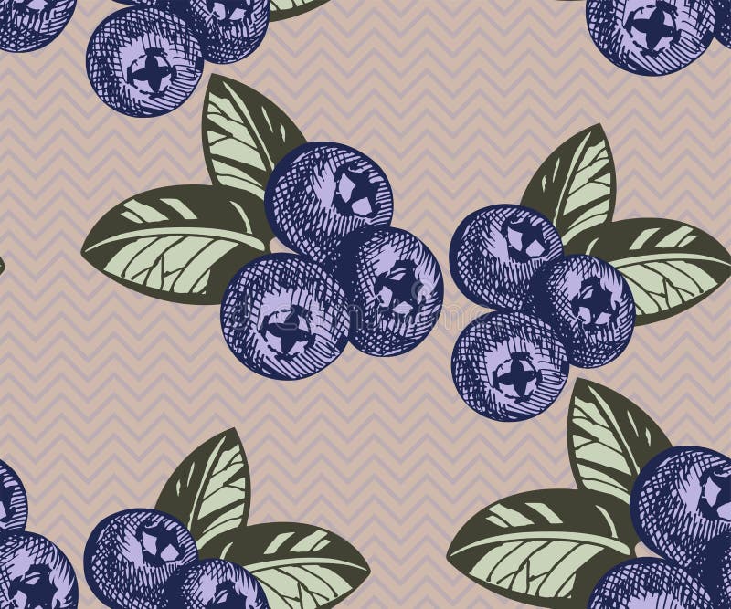 Blueberry Drawing Stock Illustrations 7 023 Blueberry Drawing Stock Illustrations Vectors Clipart Dreamstime Using search on pngjoy is the best way to find more images related to blueberry. blueberry drawing stock illustrations