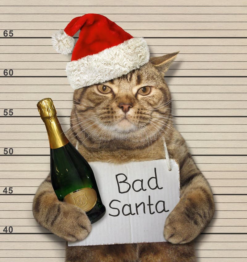 Mauvais chat avec du vin dans la prison photos stock Mauvais chat avec du vin dans la prison photos stock