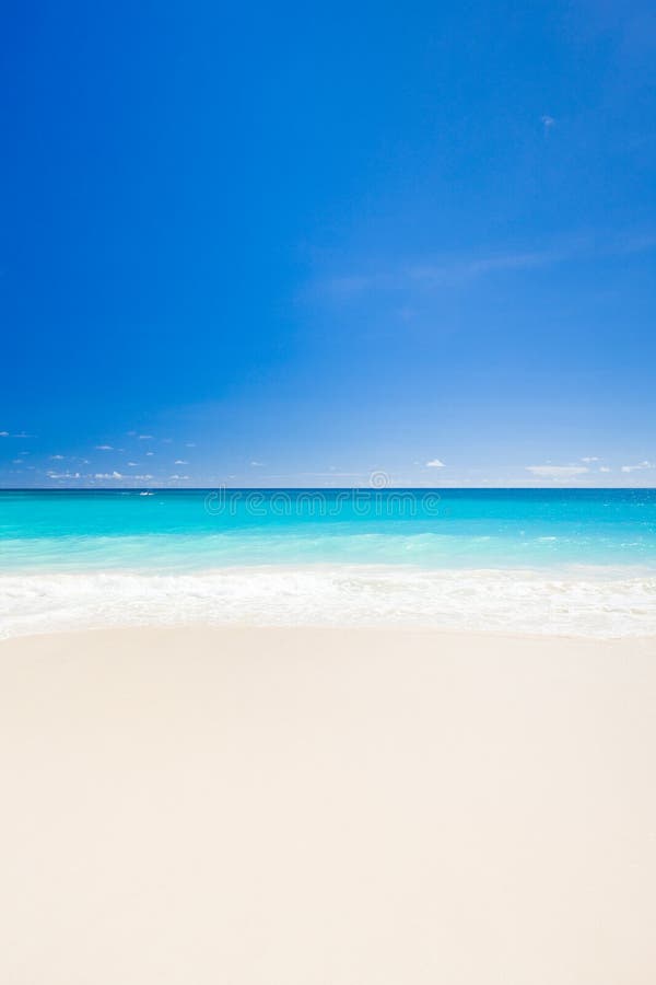 Maxwell Beach, Barbados, Caribbean Stock Image Image of calm, lesser
